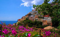 Bouganville and Sea in Positano